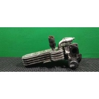 Радиатор EGR Volkswagen Passat B6 2006 038 131 513 AD, 03G131063E