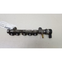 Рейка топливная (рампа) Nissan Pathfinder (R51) (2005 - 2014) 1752000Q2L