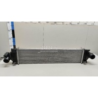 Интеркулер Ford Focus III (2011 - 2019) 1787935