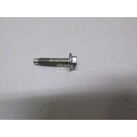 Болт Renault Scenic III (2009 - 2015) 7703602272