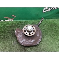 Кулак поворотный Mercedes-Benz CLS W219 2006 A2113306520
