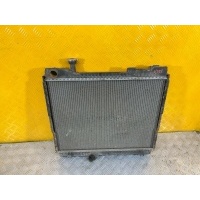 Радиатор (основной) NISSAN CABSTAR V (2006-2014) 2007 21400MB41B
