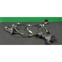 Проводка двери задней левой Audi A6 C6 (S6,RS6) 2005 4F1 971 687