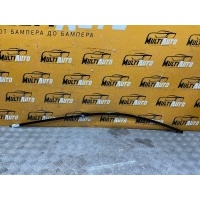 Молдинг двери Перед. BMW 7 Series f01 2014 7185229