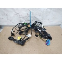 Проводка двери передней правой Audi A6 Allroad C6 [рестайлинг] 2009 4F0971687E,4F1971036E,4F1971030BT