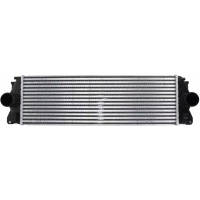 THERMOTEC INTERCOOLER DAM004TT