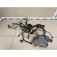 Проводка двс Renault Renault Duster 2012> 240113768R