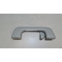 Ручка внутренняя потолочная Toyota RAV 4 (2013 - 2019) 7461042060B0