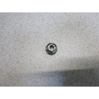 Гайка Nissan Almera (G15) (2013 - 2018) 2060200Q0A