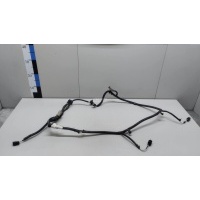 Проводка (коса) Ford Kuga (2012 - 2019) 2423911