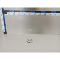 Колпачок ступицы Nissan Pathfinder (R52) 2014 43234CA000