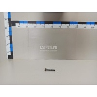 Болт заднего рычага Nissan Pathfinder (R52) 2014 55080JA03A