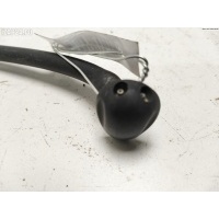 Форсунка омывателя Renault Scenic I (1996-2003) 2000 289321198R