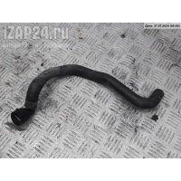 Патрубок Volkswagen Passat B5 2000 8d0819373n