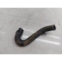 Патрубок Ford Transit 2014 1771300