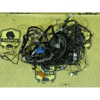 Проводка салона Nissan Almera Classic B10 2007 2401795F0M, 2401495F0A