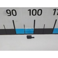 Форсунка омывателя лобового стекла SWF truck TRUCK FM (2010 - 2013) 105884