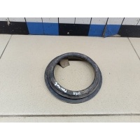 Кольцо уплотнительное (двигатель) NISSAN Qashqai (J10) 2006-2014 172405M300