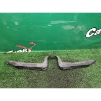 Накладка замка капота Mercedes-Benz E S210 2002 A2108890098