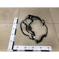 Проводка двери Nissan Nissan Terrano (D10) 2014> 2430300Q0M