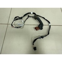Проводка двери Nissan Nissan Terrano (D10) 2014> 241263691R
