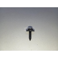 Саморез Chery Exceed TXL 2020 FQ2B24819F38