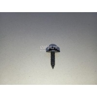 Саморез Chery Exceed TXL 2020 FQ2B24819F38