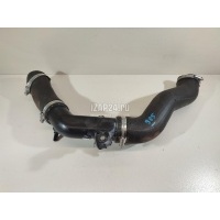 Патрубок интеркулера Chery Exceed VX 2021 302001372AA