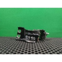 Петля крышки багажника Volkswagen Passat B6 2006 3C9 827 302 E