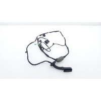 Проводка двери BMW X5 G05 2021 61125A0B097, 5A0B097, 8779817
