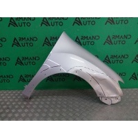 Крыло Renault Sandero 2 2013-2022 631008401R, 631009461R