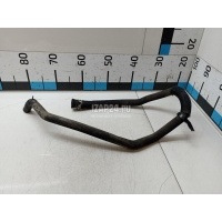 Патрубок Citroen-Peugeot C4 (2005 - 2011) 1317T5