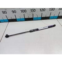 Амортизатор крышки багажника VAG A6 [C6,4F] (2004 - 2011) 4F9827552C