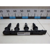 Рампа (кассета) катушек зажигания Delphi Astra G (1998 - 2005) CE2000912B1
