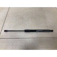 Амортизатор двери багажника Nissan Nissan Terrano (D10) 2014> 904521364R