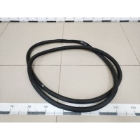 Уплотнитель проема двери передней правой Volkswagen Volkswagen Golf Plus 5 2005-2014 5M0867911D, 5M0867911E9B9