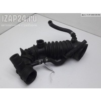 Патрубок воздушного фильтра Volkswagen Passat B5+ (GP) 2002 058133356p