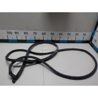 Уплотнитель двери Toyota Avensis II (2003 - 2008) 6786105050