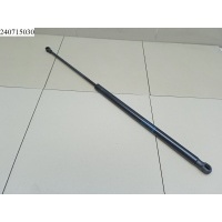Амортизатор капота RENAULT TRUCK Midlum 2000-2005 Renault 5010623108