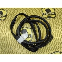 Уплотнитель на дверь Nissan X-TRAIL T32 2017 808314CL1A