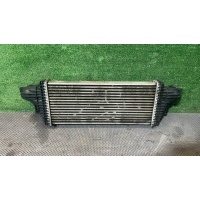 Интеркулер MERCEDES-BENZ M-CLASS W164 02/2005 - 12/2012 2007 A1645001900