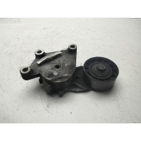 Механизм натяжения ремня, цепи Peugeot 307 2007 825809