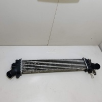 Интеркулер Renault Kangoo (2003 - 2008) 8200221885