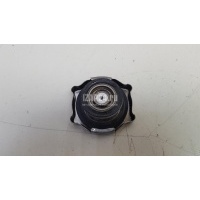 Крышка расширительного бачка Chrysler Liberty (KJ) (2002 - 2006) 4596198
