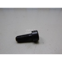 Болт маховика Renault Megane II (2003 - 2009) 123159641R