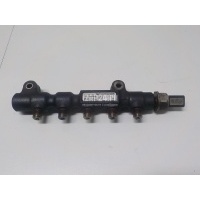 Рейка топливная (рампа) Ford Fusion (2002 - 2012) 1747239