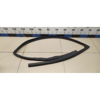 Уплотнитель стекла двери NISSAN X-Trail (T32) 2014> 803314CM0A