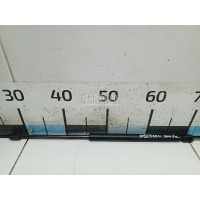 Амортизатор стекла багажника Hyundai-Kia Santa Fe (SM)/ Santa Fe Classic (2000 - 2012) 8717026011