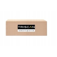 Osłona tarczy hamulcowej TRISCAN 8125 50202