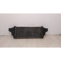 Интеркулер MERCEDES-BENZ M-CLASS W164 02/2005 - 12/2012 2008 A1645001900